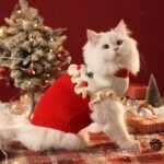 Christmas Pet Cat Sweater Winter Warm Anti-Hair