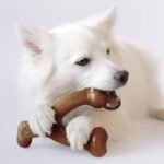 dog chew toy - Image 4