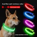 Multicolored glowing dog collar