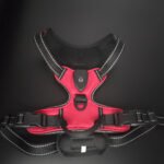 Luminous Reflective Dog Harness - Image 3